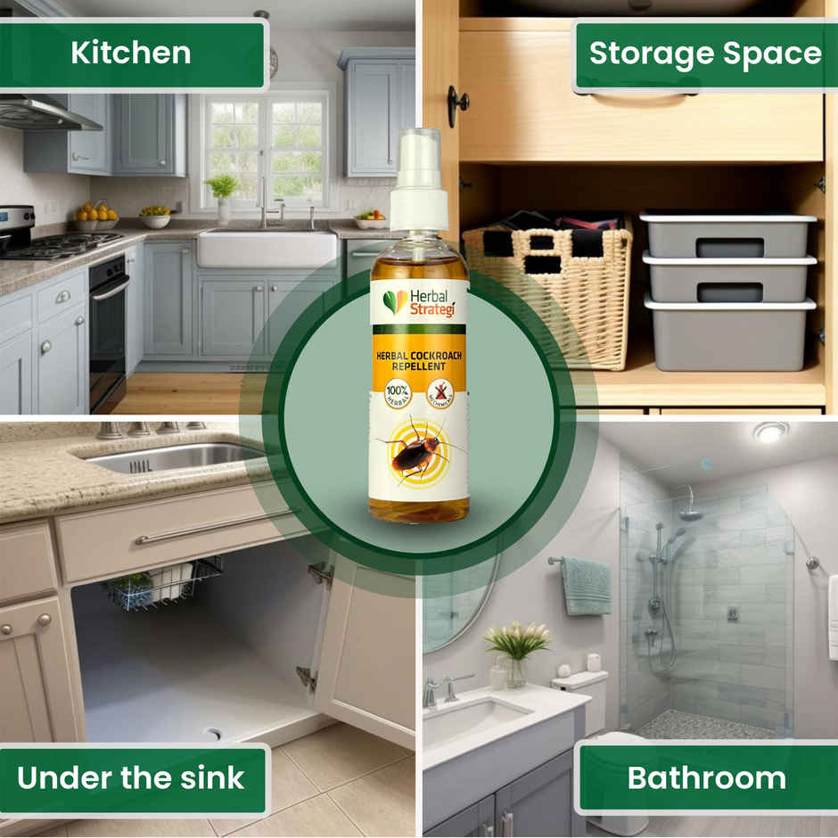 Herbal Strategi Cockroach Repellent