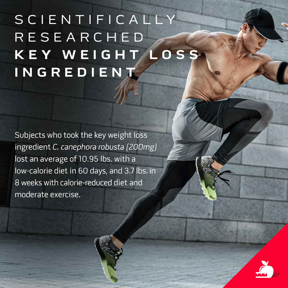 MuscleTech Nitrotech Ripped Protein Powder | Chocolate Fudge Brownie