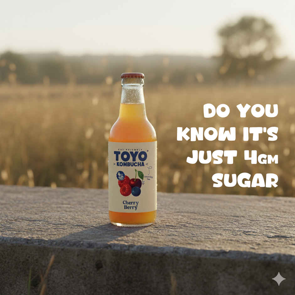 Toyo Kombucha Low Sugar Cherry Berry
