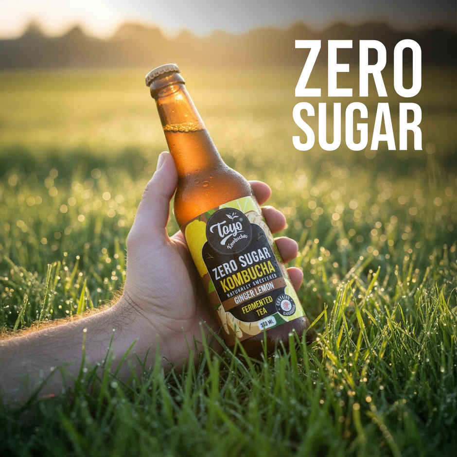 Toyo Kombucha Zero Sugar Ginger Lemon | Non-Alcoholic Kombucha