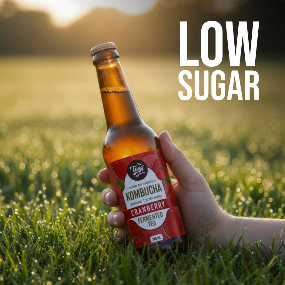 Toyo Kombucha Low Sugar Cranberry | Non-Alcoholic Kombucha