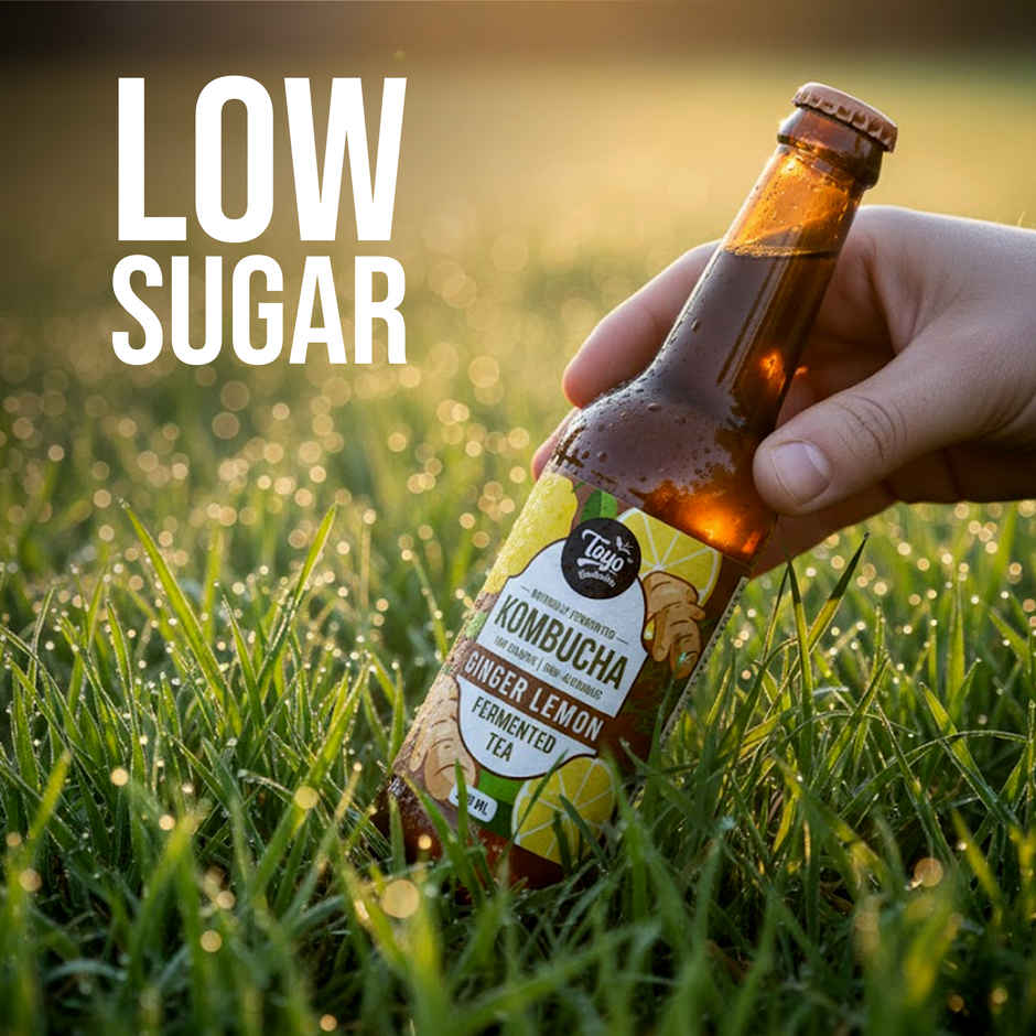 Toyo Kombucha Low Sugar Ginger Lemon | Non-Alcoholic Kombucha