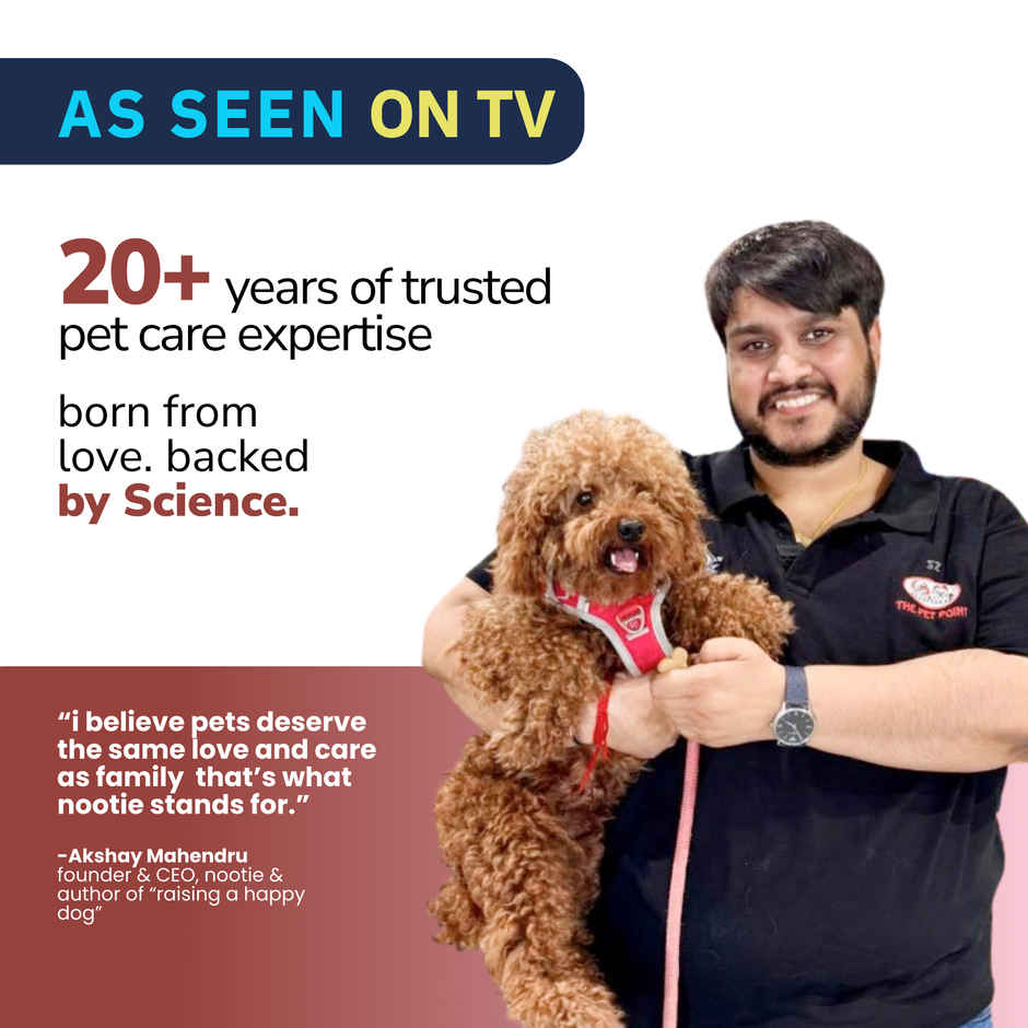 Nibblr By Nootie Fresh Chicken Pulao Wholesome Meal | Chicken Rice & Veggies Dog Wet Food 300gm