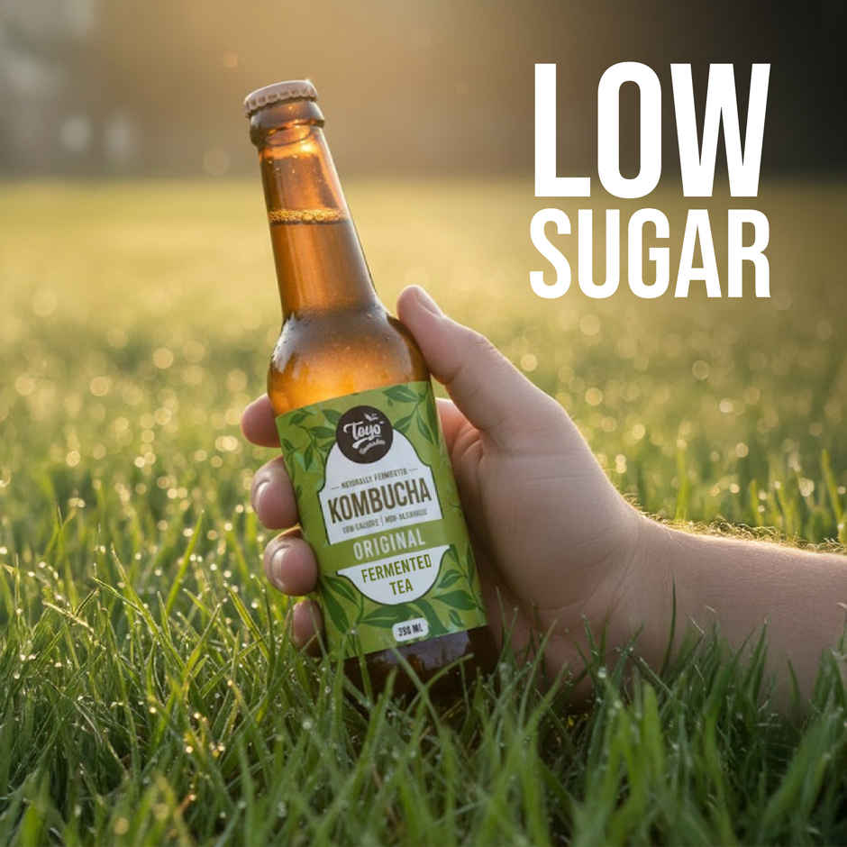 Toyo Kombucha Low Sugar Original | Non-Alcoholic Kombucha