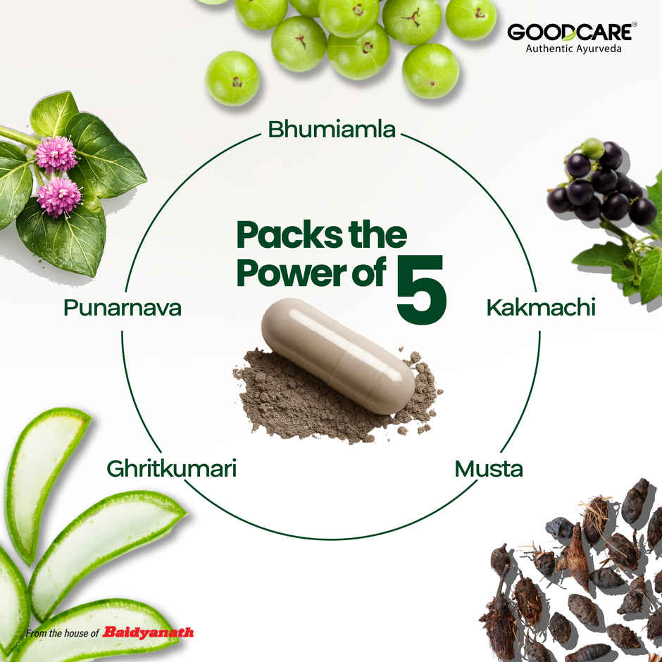 Goodcare Livgood Capsules Natural Liver Protector An Ayurveda For Healthy Liver 60 Capsules