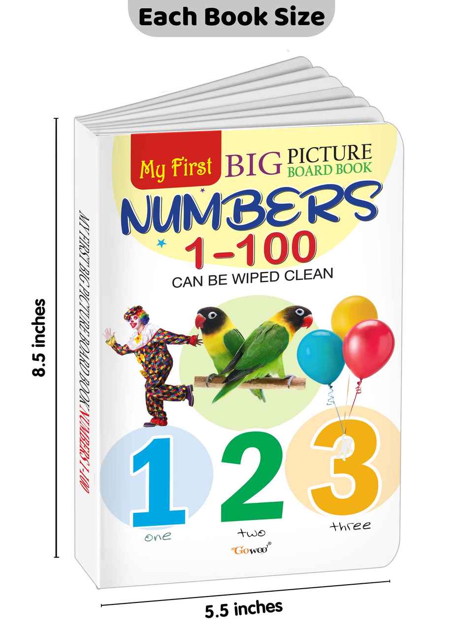 My First Big Picture Board Book Numbers 1-100 | Learning Board Book | Early Learning Picture Book