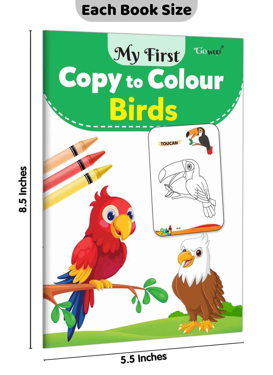 My First Copy To Colour - Birds | Easy Colouring Book for Nursery Kids | Colouring Pages for Kids