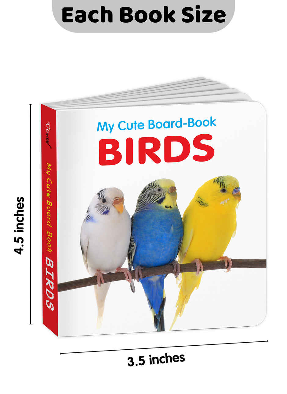 My Cute Board Book Birds | Toddler Learning Picture Book | Pocket Size Educational Book for Kids