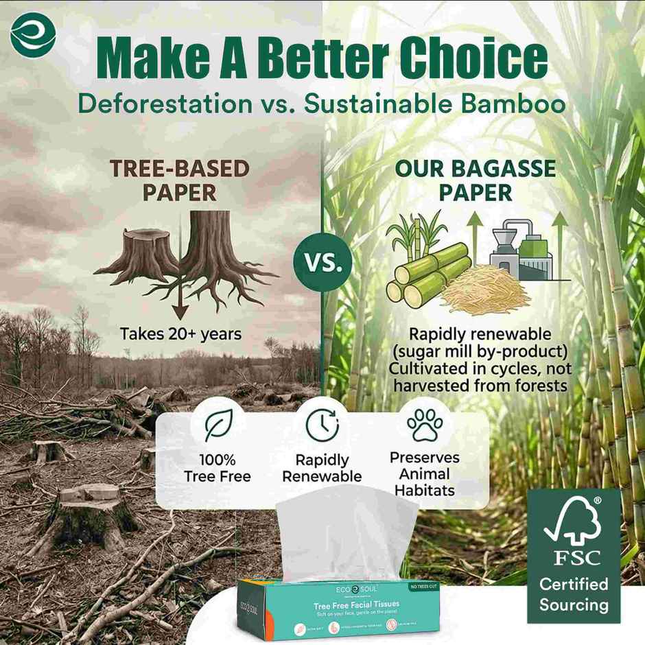 ECO SOUL 2Ply | Facial Tissue Paper Box | 100 Count | Carbox Tissue