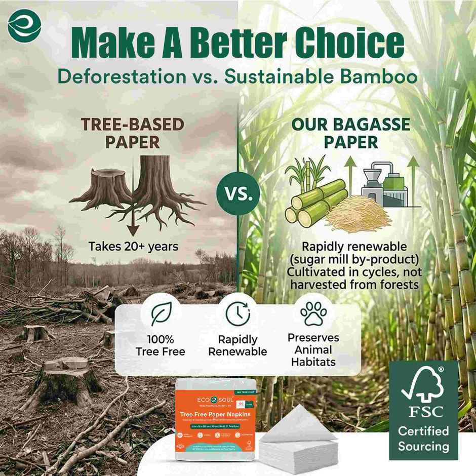 Eco Soul 1 Ply | 100Count | Disposable Paper Napkin