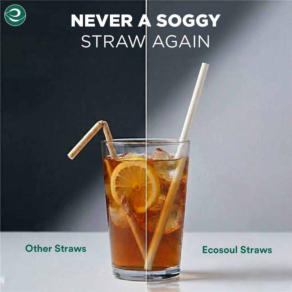 Paper Disposable Straw | White