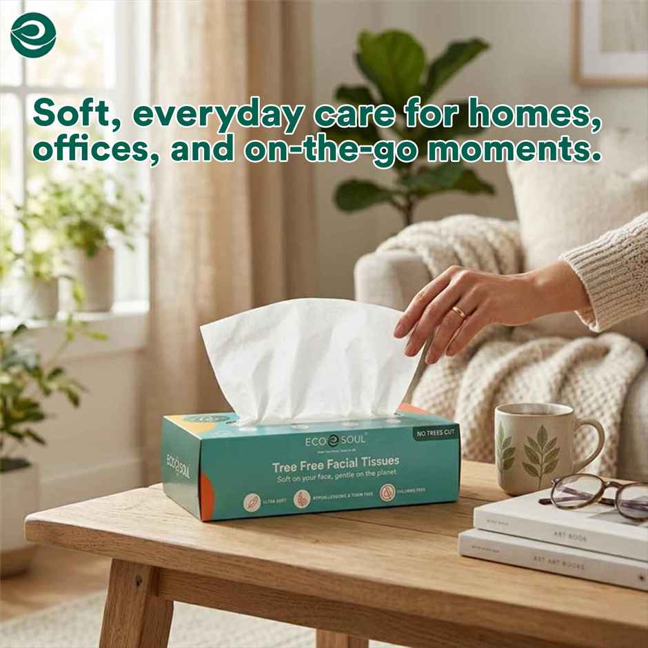 ECO SOUL 2Ply | Facial Tissue Paper Box | 100 Count | Carbox Tissue