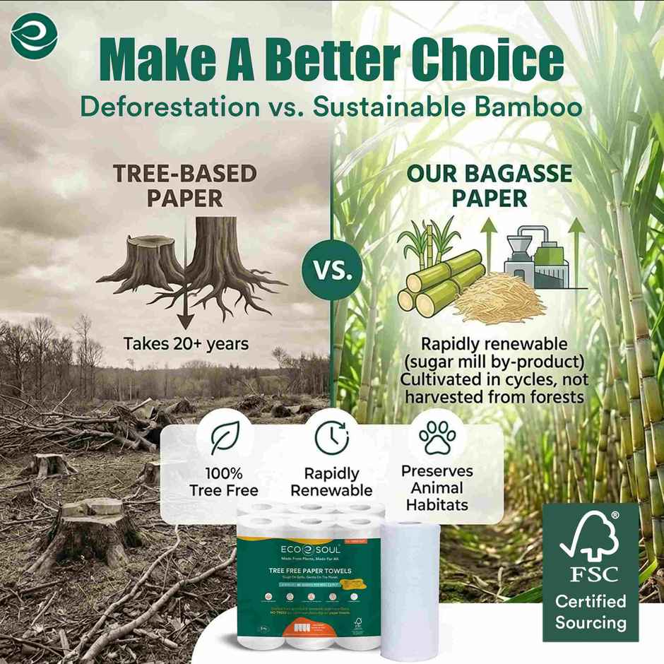 ECO SOUL 2Ply | 60 x 2 Rolls | Kitchen Paper Towel