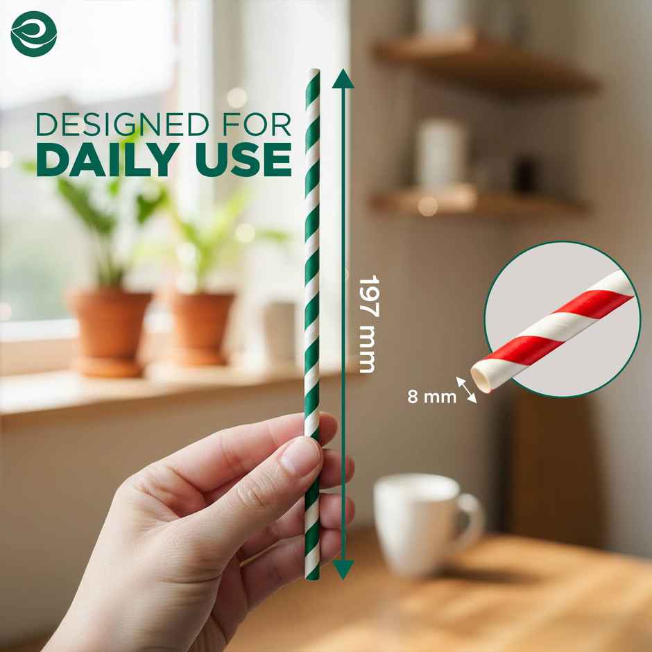 Paper Straw | Multicolour