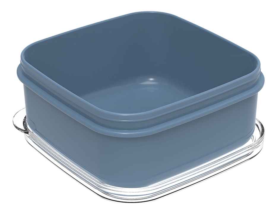 All Time Bestow Storage Box | Set Of 2 | 560 ml Each | (Colour May Vary)