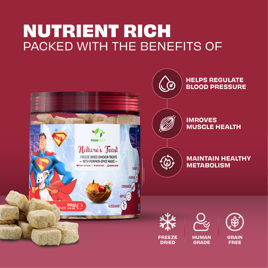 Pawfect Nature Feast Freeze-Dried Chicken Dog Training & Reward Treats with Pumpkin Spice