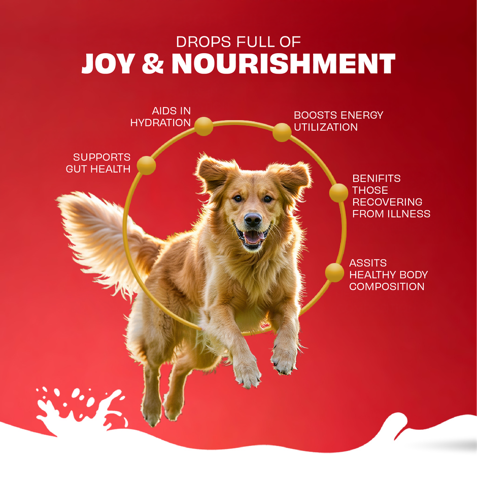 Pawfect Nature's Sip Goat Milk Powder with Pomegranate & Cranberries for Dogs