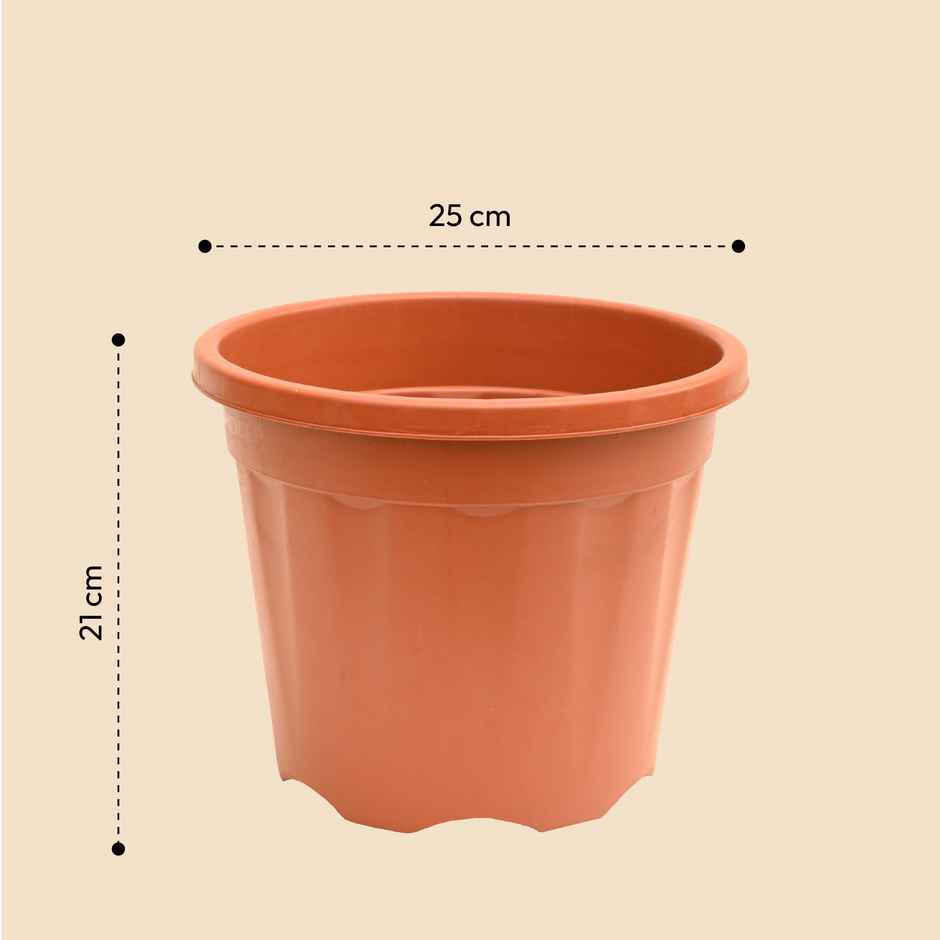 Ugaoo Uv Treated Gardening Brown Plastic Pots -10 Inch | Set Of 6