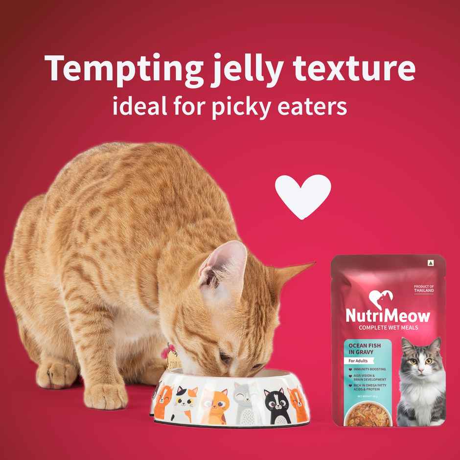 NutriMeow Oceanfish In Gravy Adult Cat Wet Food