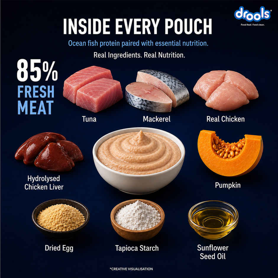 Drools Ocean Fish Mousse Adult Cat Wet Food, 80g (4+1 Free Pack)