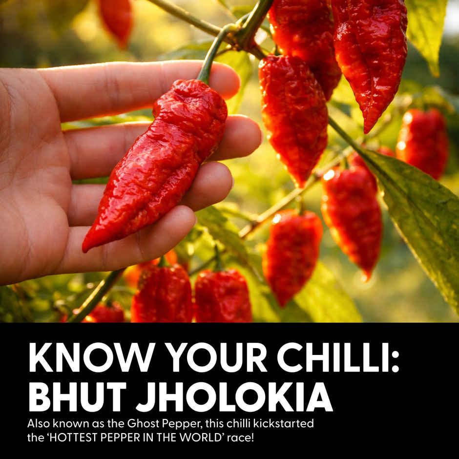 Naagin Smoky Bhoot Hot Sauce | Bhut Jolokia, Smoky, Red Chilli Sauce