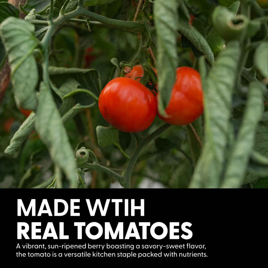 Naagin Pizza & Pasta Sauce - Tangy Italian Sauce 400 GRAM