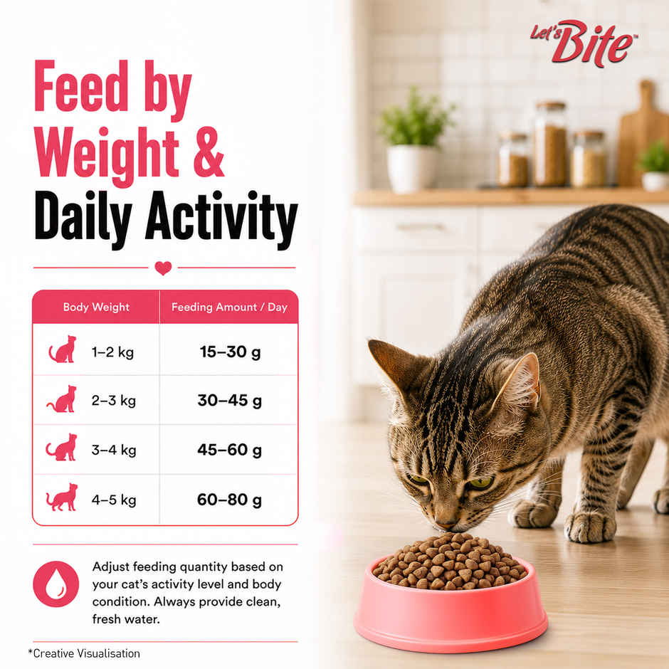 Let'S Bite Active Adult Dry Cat Food - Ocean Fish (Buy 1 Get 1 Free)