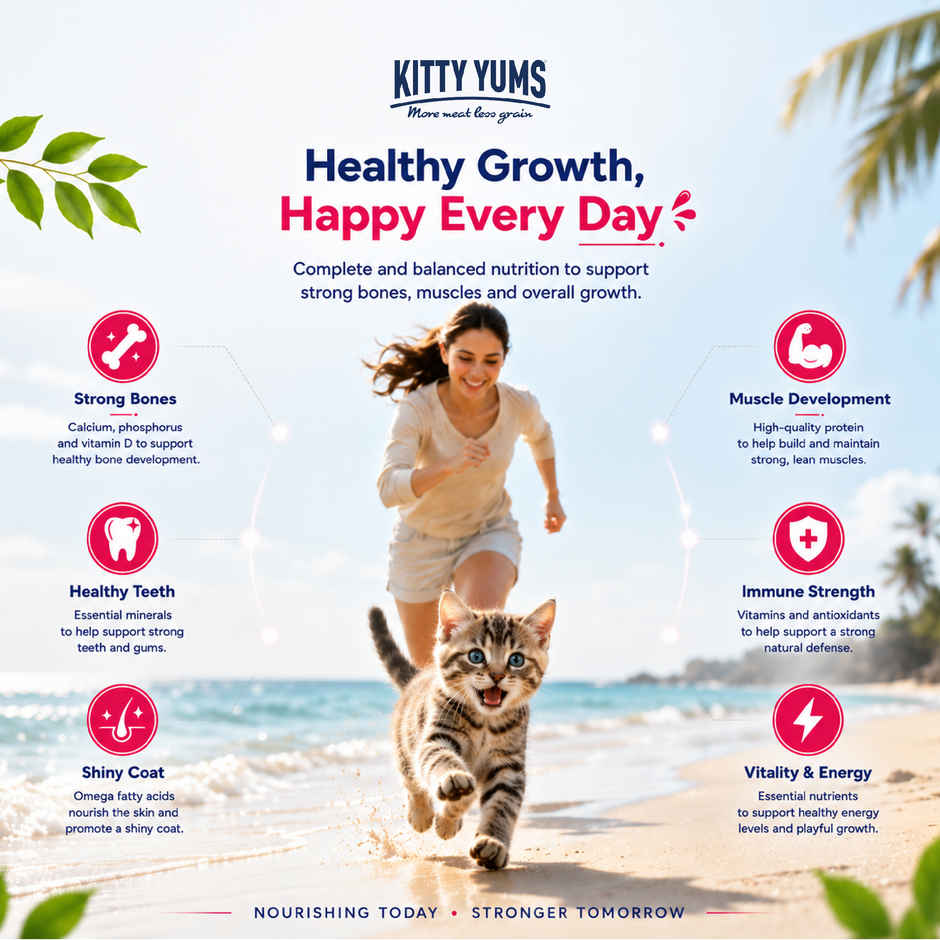 Kitty Yums Kitten Dry Cat Food Ocean Fish with Free Container