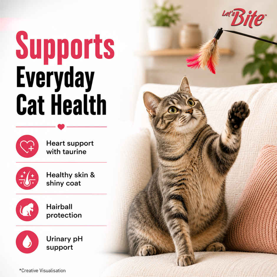 Let'S Bite Active Adult Dry Cat Food - Ocean Fish (Buy 1 Get 1 Free)
