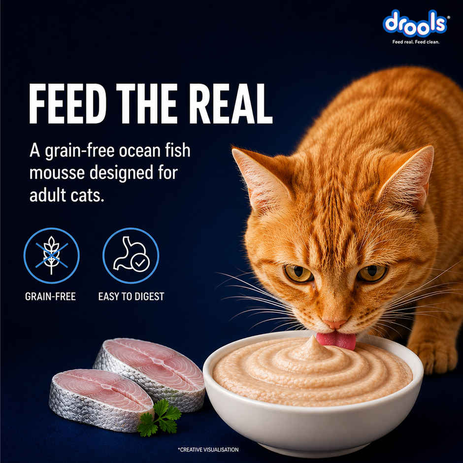 Drools Ocean Fish Mousse Adult Cat Wet Food, 80g (4+1 Free Pack)