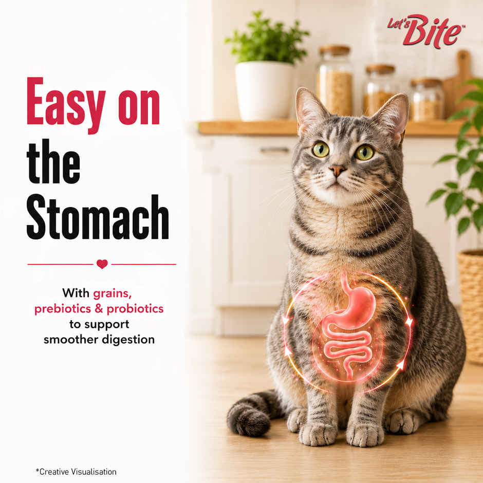 Let'S Bite Active Adult Dry Cat Food - Ocean Fish (Buy 1 Get 1 Free)