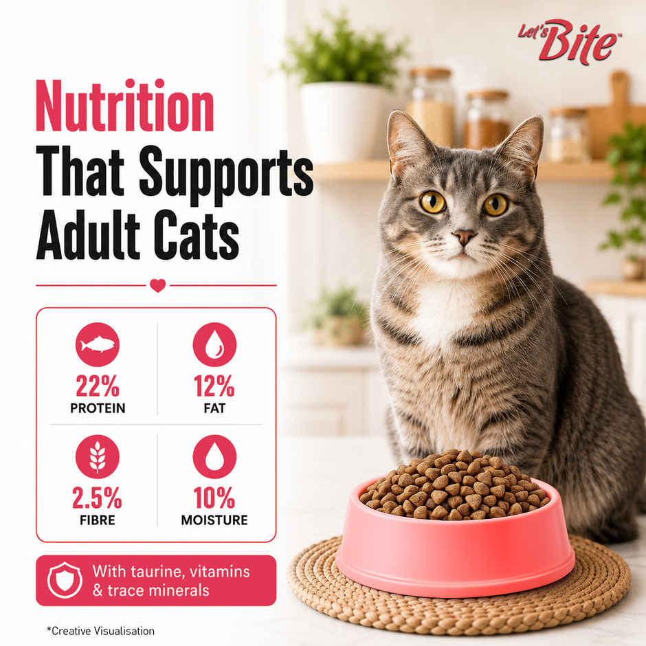 Let'S Bite Active Adult Dry Cat Food - Ocean Fish (Buy 1 Get 1 Free)