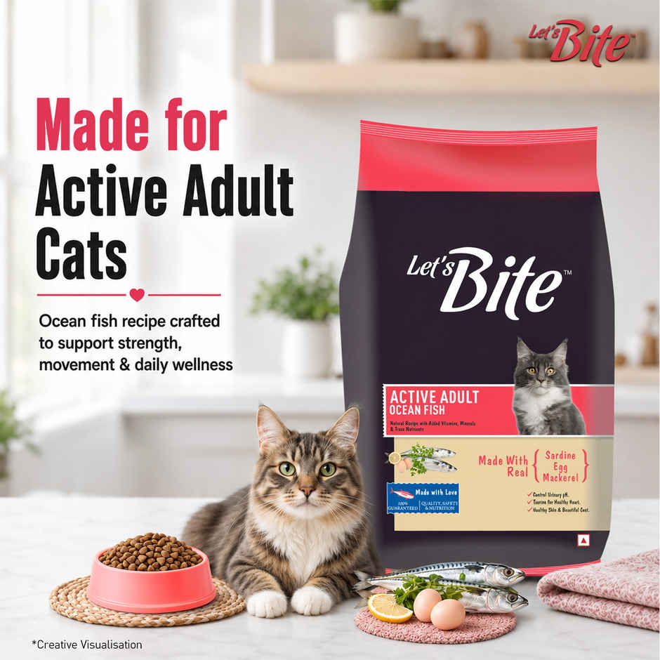 Let'S Bite Active Adult Dry Cat Food - Ocean Fish (Buy 1 Get 1 Free)