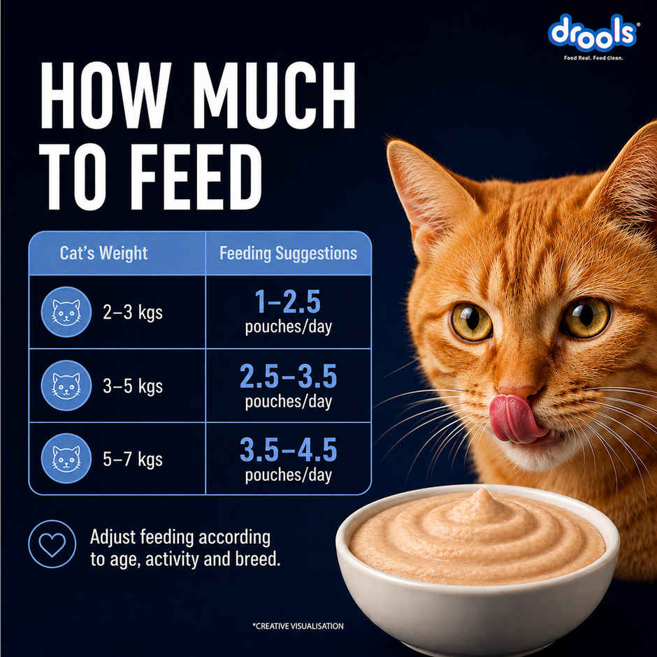 Drools Ocean Fish Mousse Adult Cat Wet Food, 80g (4+1 Free Pack)
