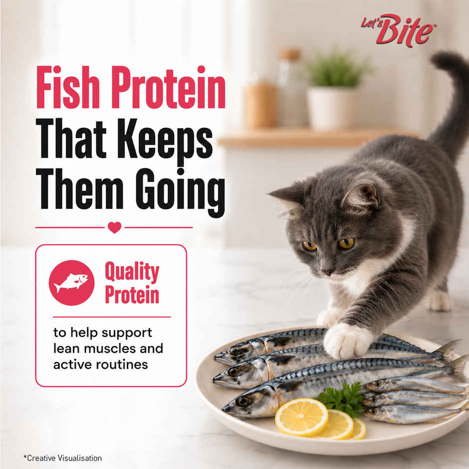 Let'S Bite Active Adult Dry Cat Food - Ocean Fish (Buy 1 Get 1 Free)