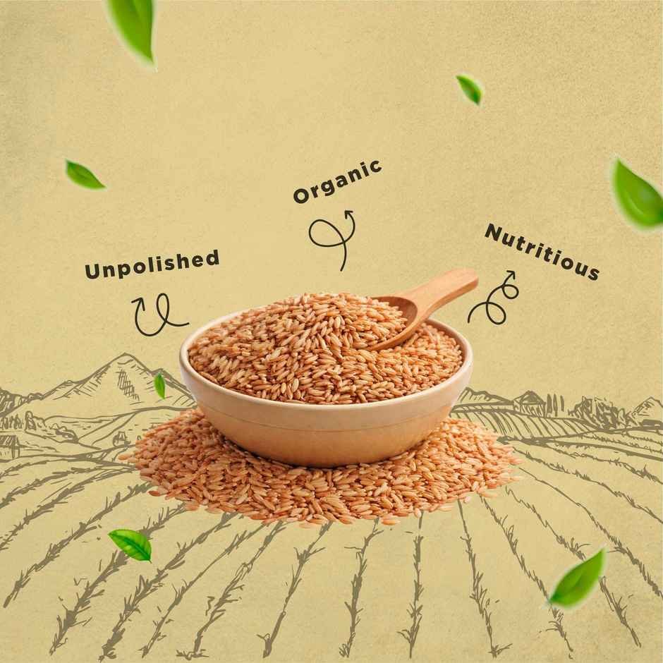 Bharat Organics Traditional Brown Basmati Rice