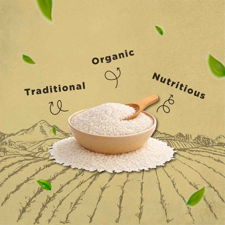 Bharat Organics Traditional Basmati Rice