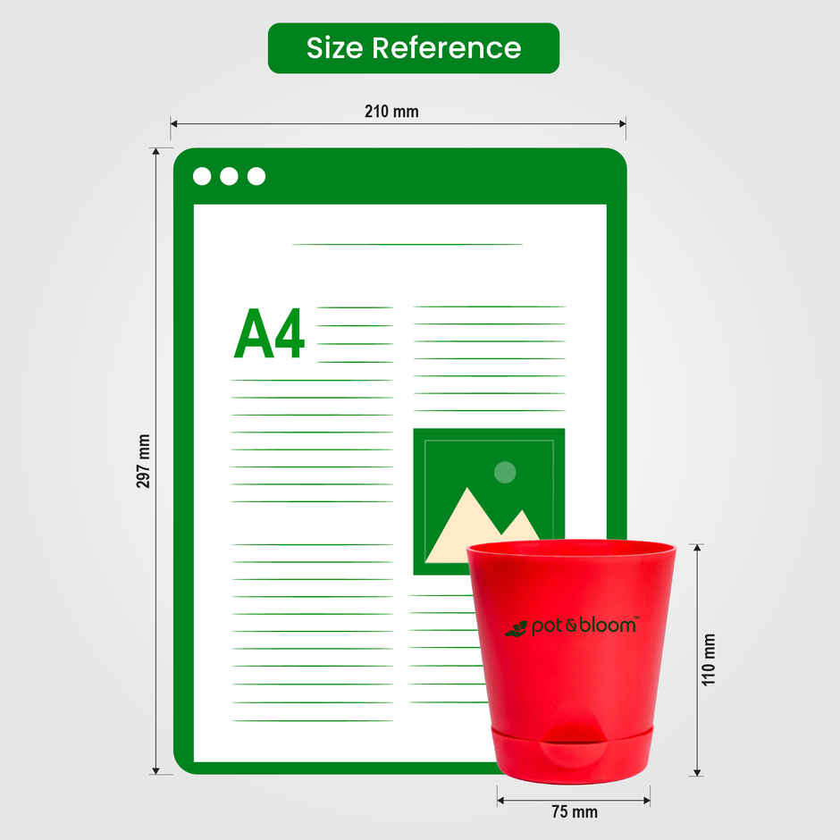 Pot And Bloom 4 Inch Self Watering Pot - Red