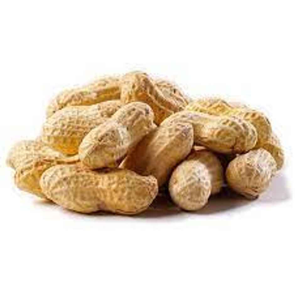 Groundnut Raw