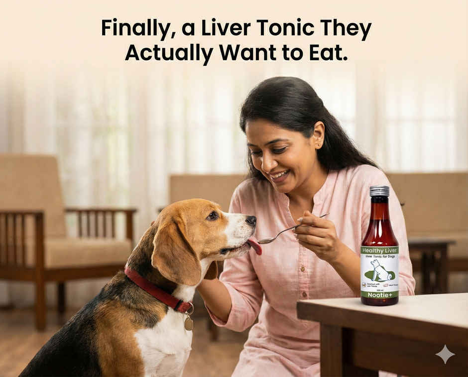 Nootie Strong Bone Support Calcium Syrup for Dogs & Cats