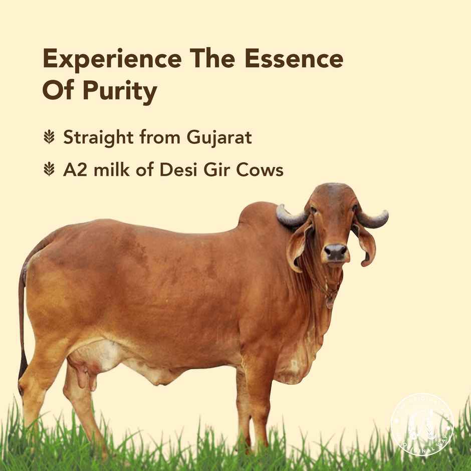 Anveshan A2 Desi Gir Cow Ghee