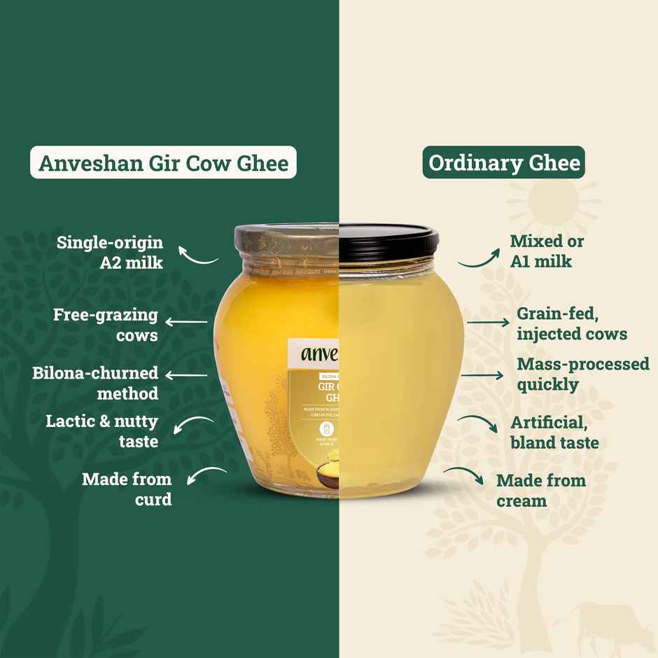 Anveshan A2 Gir Cow Ghee | Traditional Bilona Method | Cultured Curd Based | Immunity Booster