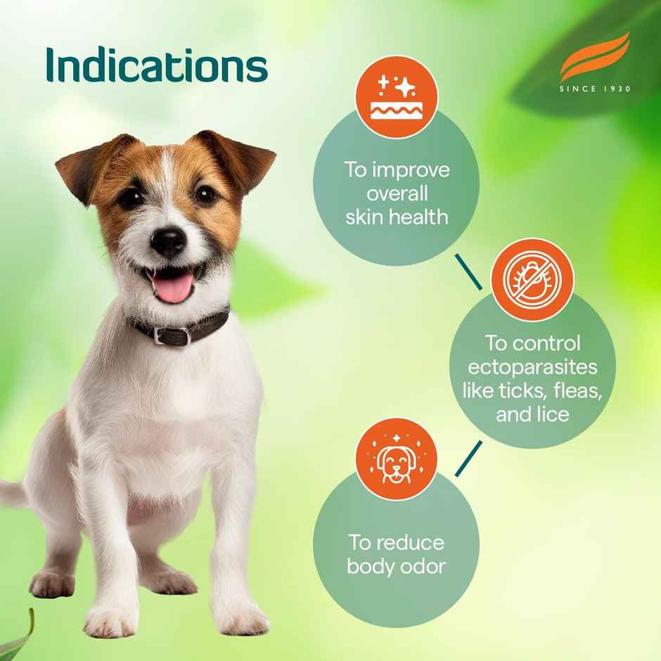 Himalaya Erina Ep Powder