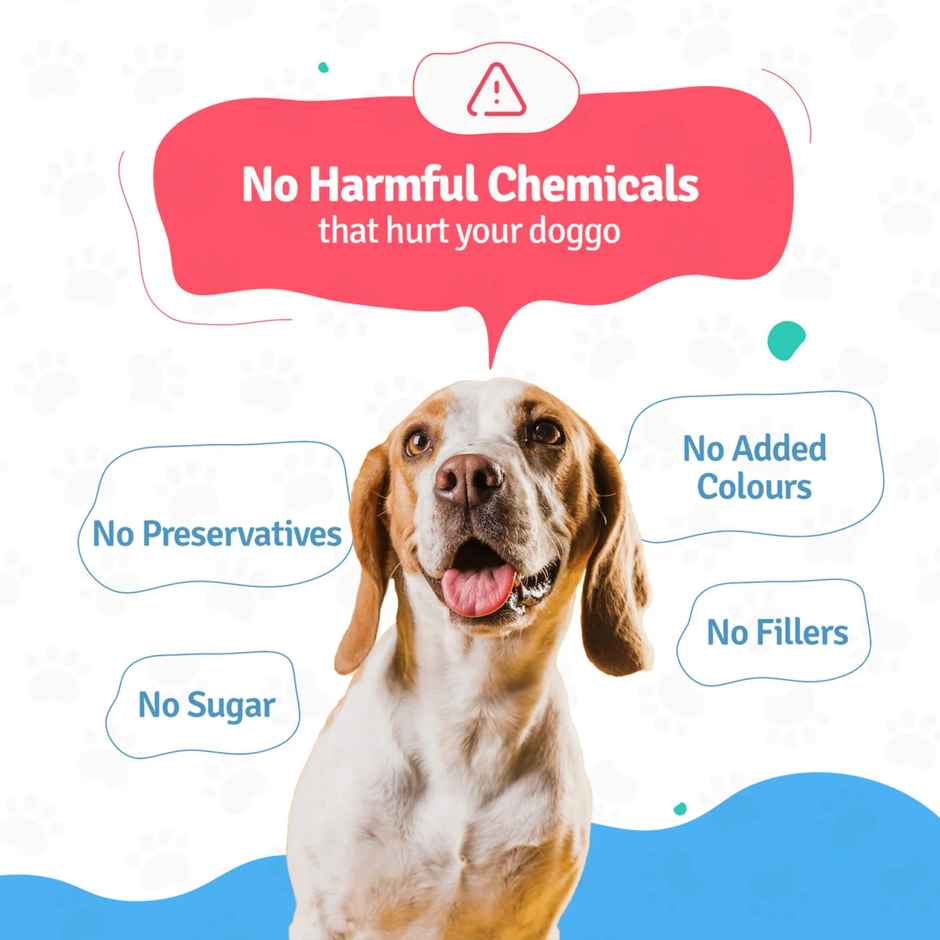 BLEP 100% Natural Chicken Dog Food | 4 Recipes | 4 Packs | Zero Preservatives