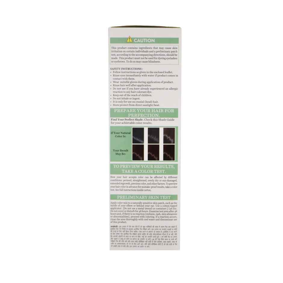 Biotique Herbcolor 1N Natural Black