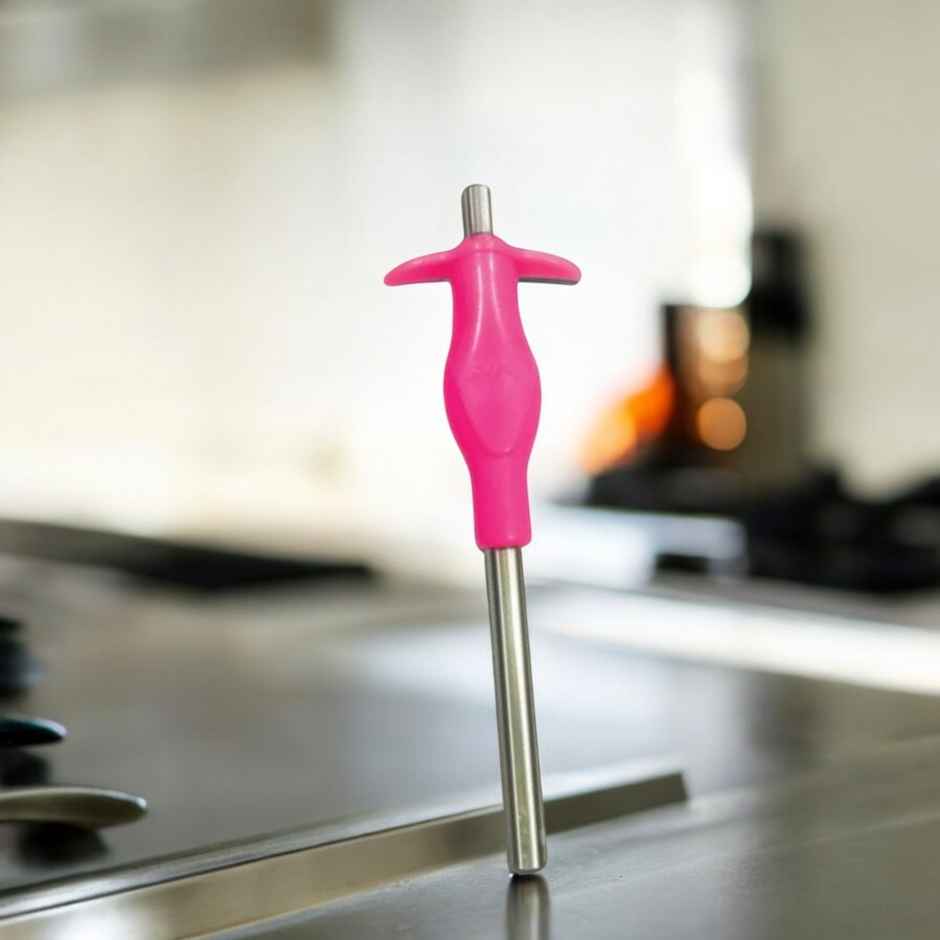 Anjali Stainless Steel Gas Stove Lighter | Colour May vary