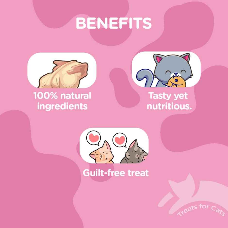 Rena Cataholic Chicken & Salmon Fish