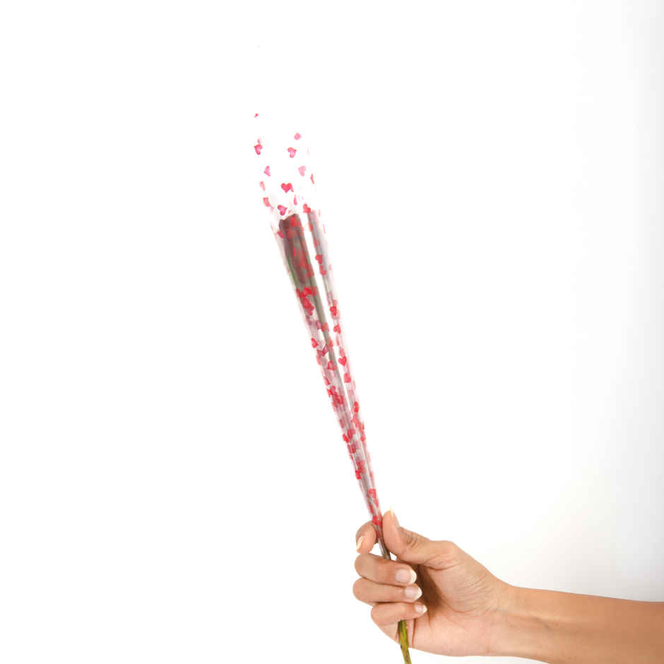 Carlton London Women Gift Set - Euphoria(120ml) & Hoovu Valentines Single Rose(1pc) Combo