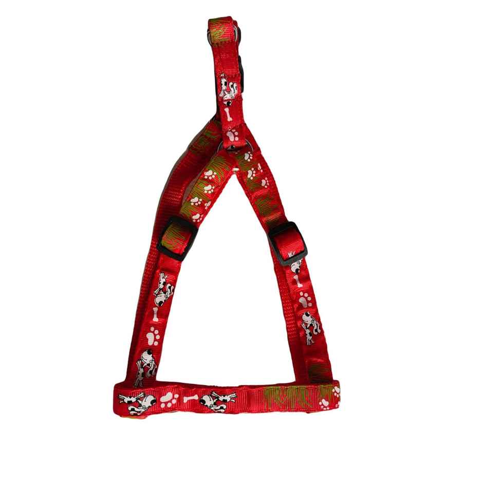 Nootie Premium Design Leash & Collar Set For Small Dogs/Puppies (Mix Color)