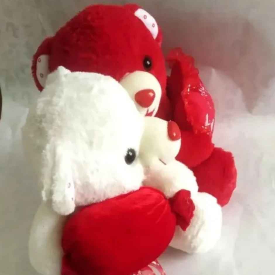 Sterling Loving Teddy Set (6411) - Assorted Colour & Design